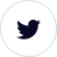 Twitter Icon